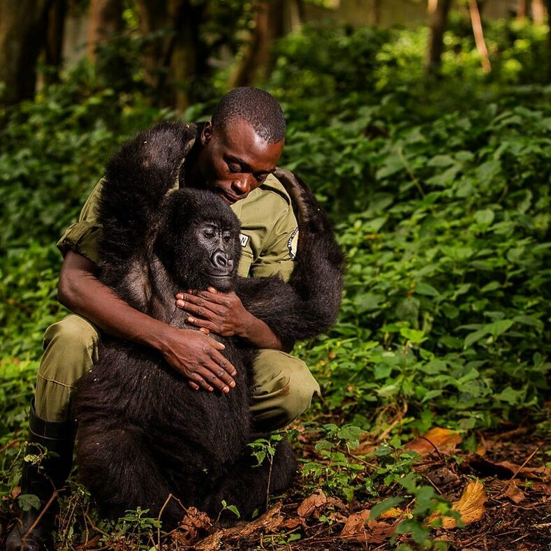 #natgeo100contest: National Geographic выбрал лучшие снимки от пользователей Инстаграма