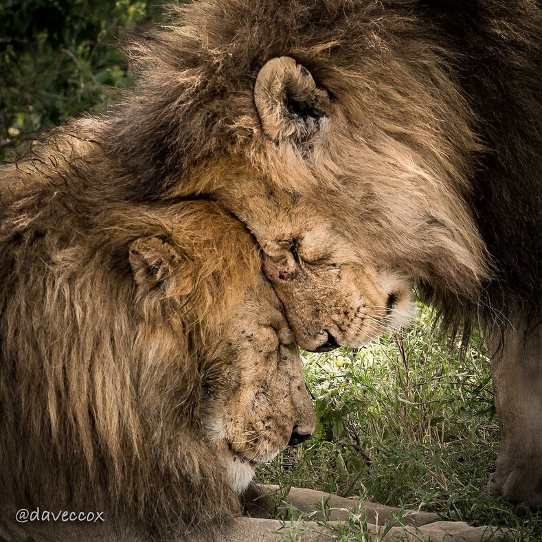 #natgeo100contest: National Geographic выбрал лучшие снимки от пользователей Инстаграма