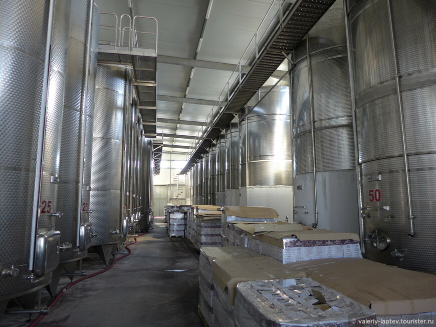 Дегустация на винном заводе KTW в Кахетии