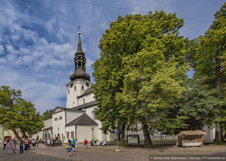 В гости к викингам. Ревель 2.