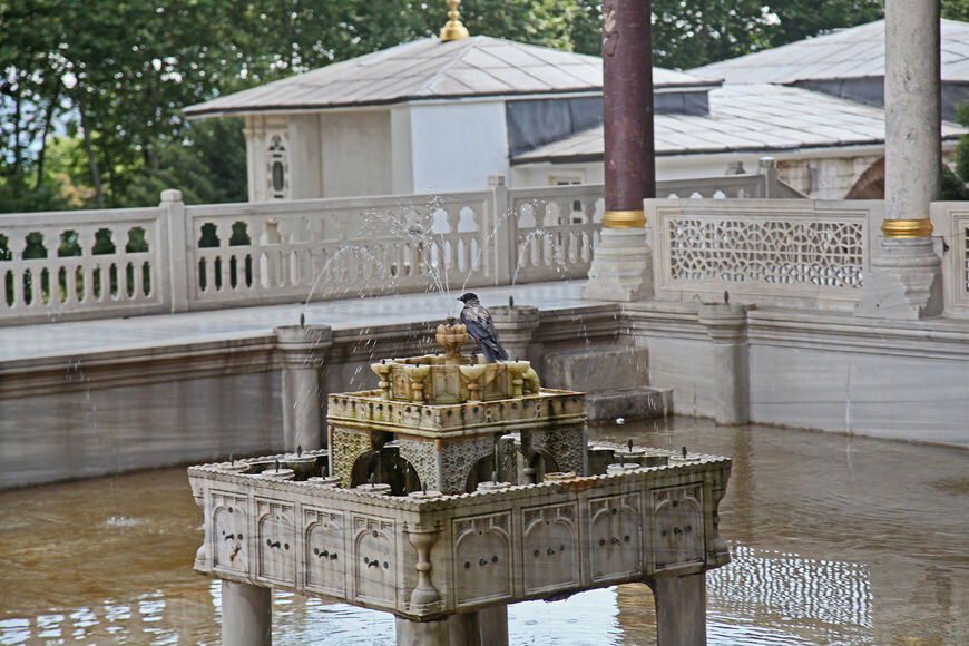 Один из дворцовых фонтанов