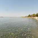 Пляж Дасуди
