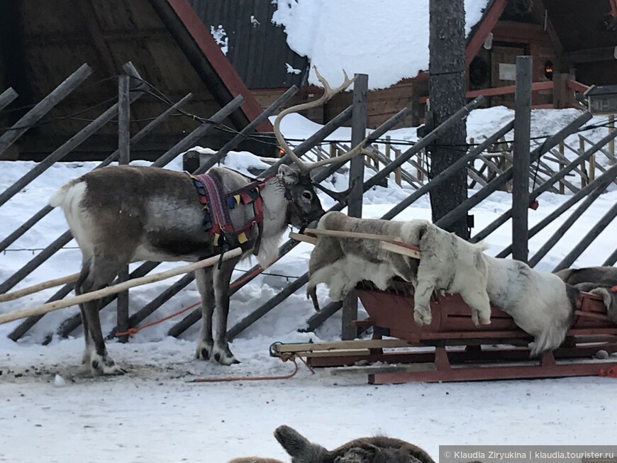 Лапландия. День музея и вновь Санта Клауса. Домой с приключениями