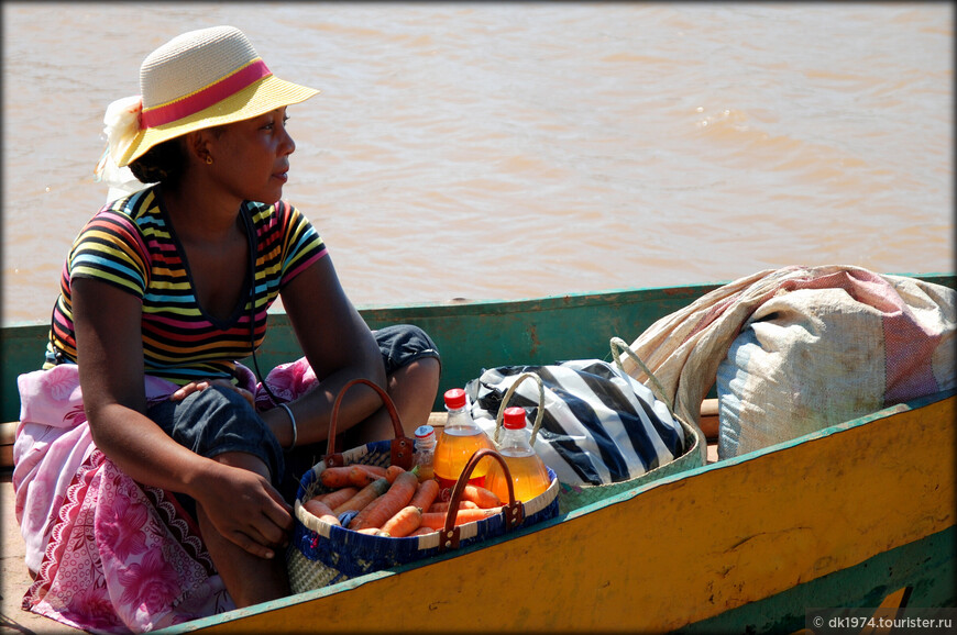 Мадагаскарские хроники — возвращение в Мурундаву
