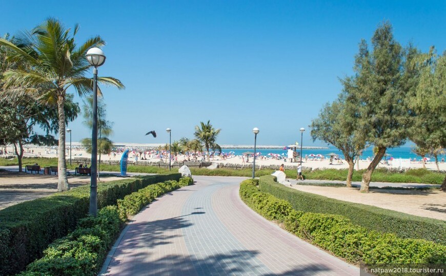 Парк или пляж? И парк и пляж Al Mamzar Beech Park