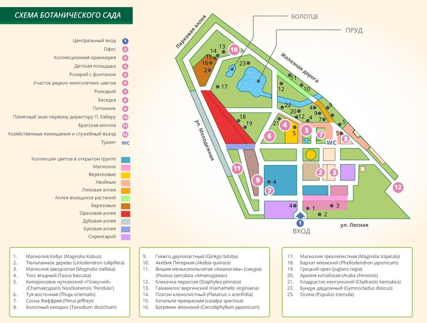 Подробная карта Ботанического сада Калининграда