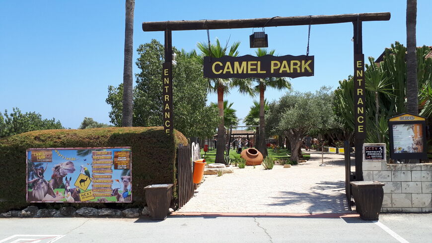 Парк верблюдов на Кипре (Camel Park)