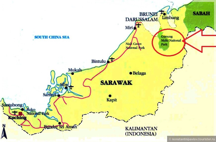Экспедиция на Борнео. Оранг улу. Раффлезия