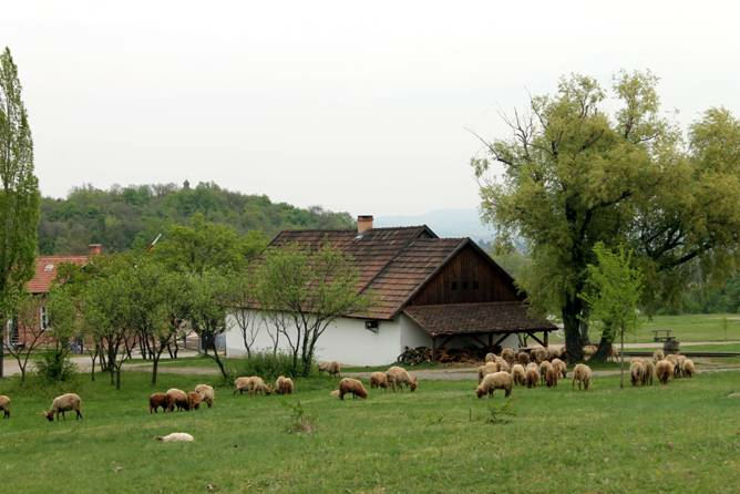 Отдых в Венгрии самостоятельно