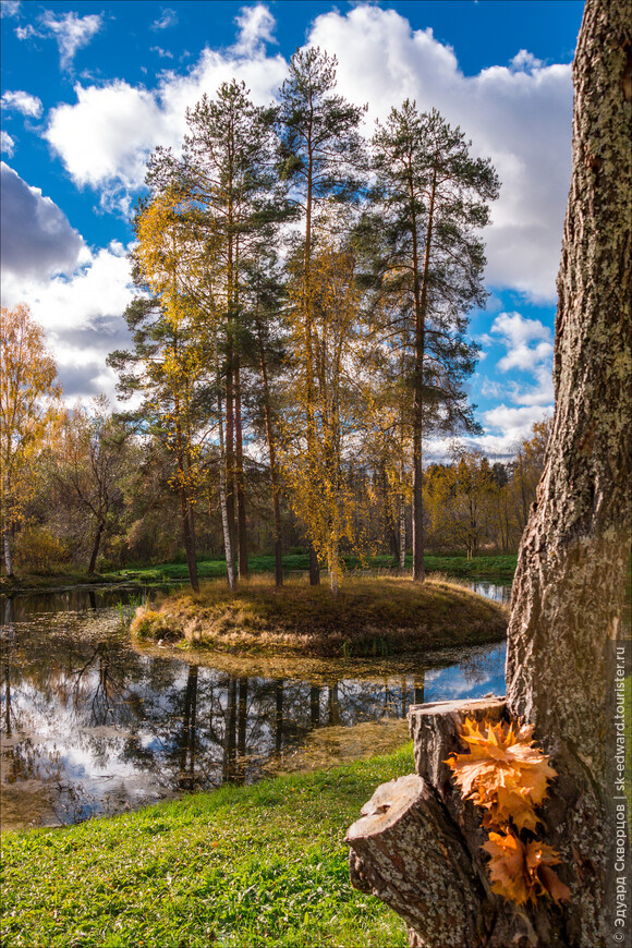 Щелыково. Музей-заповедник А.Н. Островского