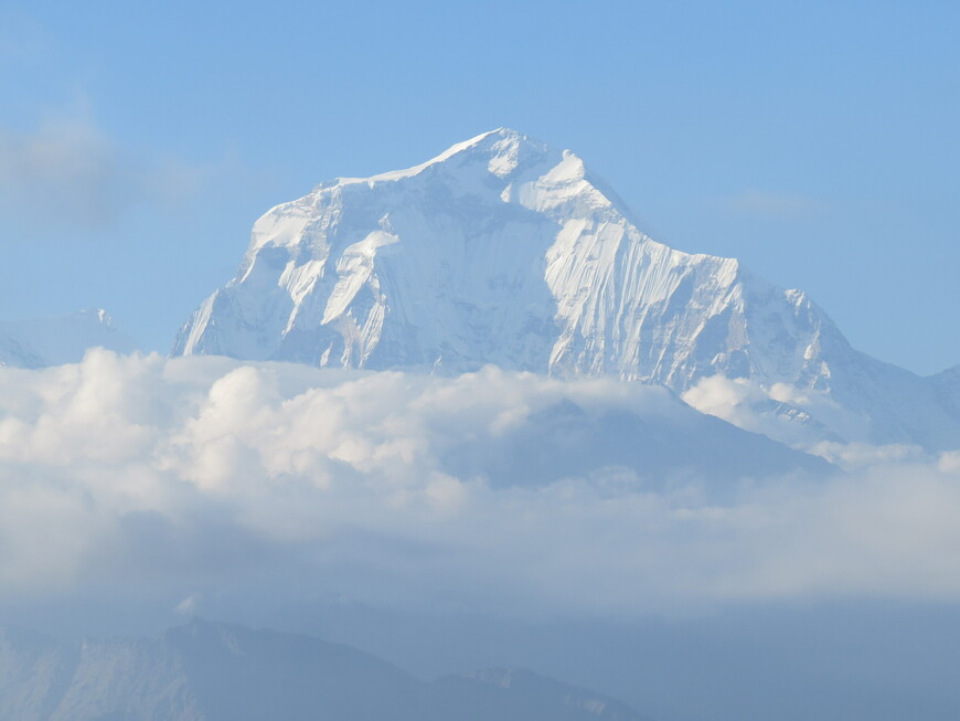Дхаулагири  или Белая гора, высотой 8167 метров, вид из номера нашего лоджа.