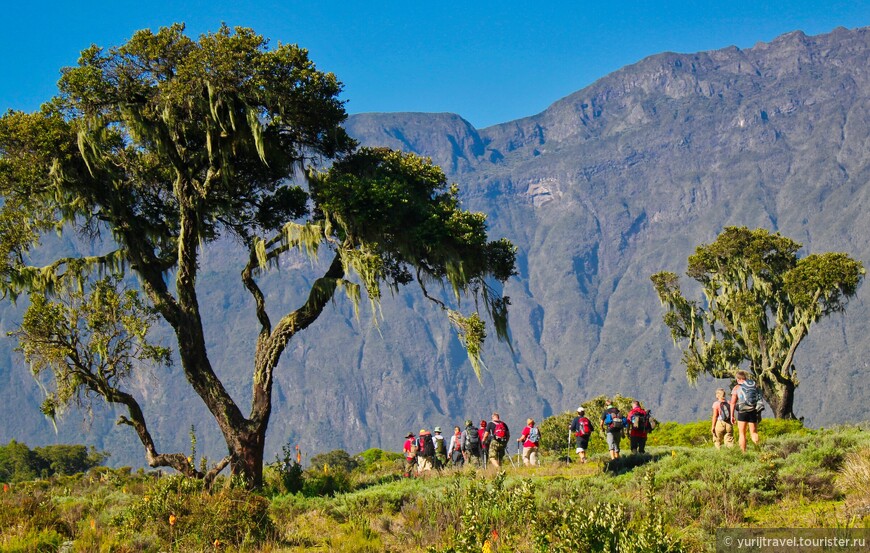 Последние Снега Килиманджаро. ч. 3 — Окончание акклиматизации на вулкане Меру 