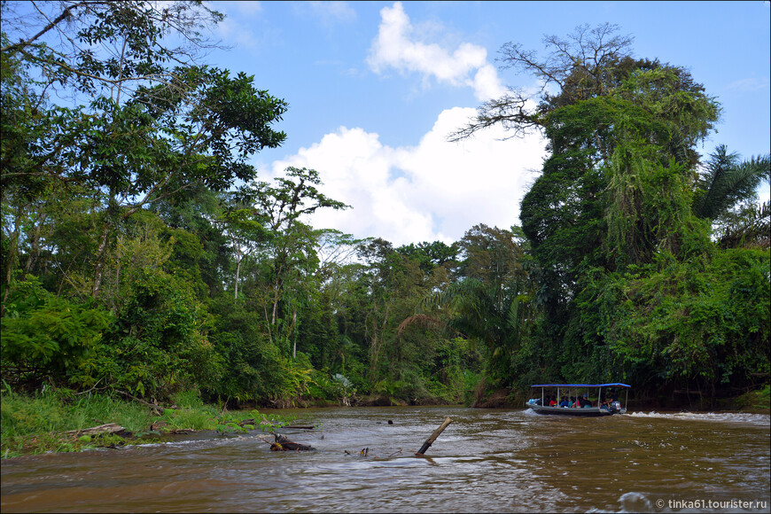 Тортугеро — удивительная экосистема Коста-Рики