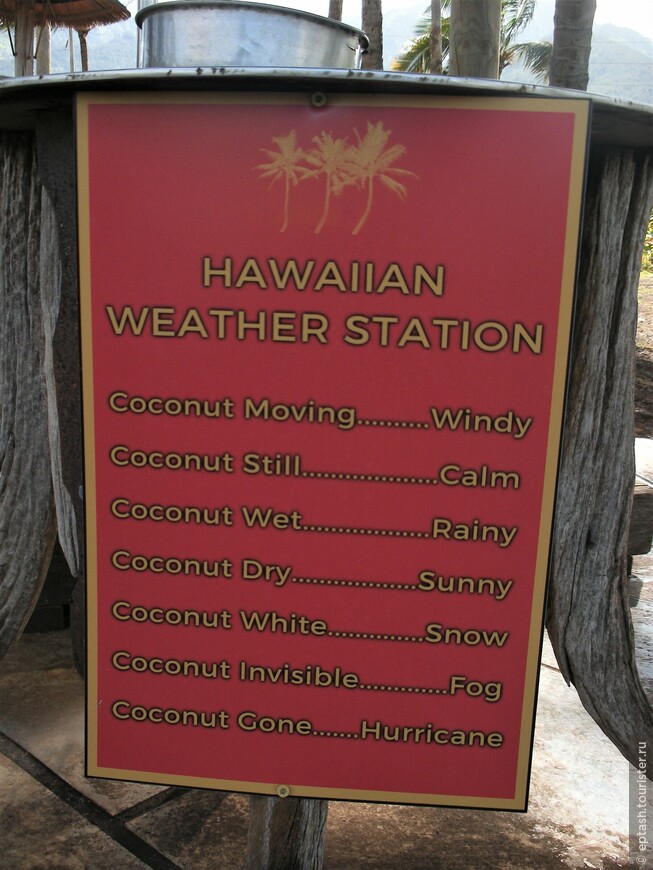 Гавайская метеостанция:
Кокос шевелится - ветер.
Кокос не шевелится - ветра нет.
Кокос сухой - солнечно.
Кокос мокрый - дождь.
Кокос не виден - туман.
Кокос белый - снег.
Кокос исчез - ураган.
