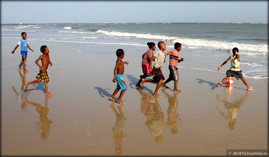 Мадагаскарские хроники — утро на пляже