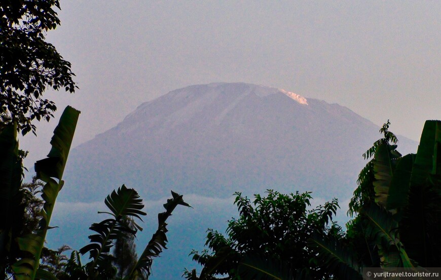 Вид на Килиманджаро из отеля Key в городе Моши