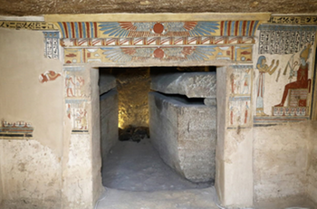 В Египте нашли гробницу с мумиями кошек, мышей и других животных