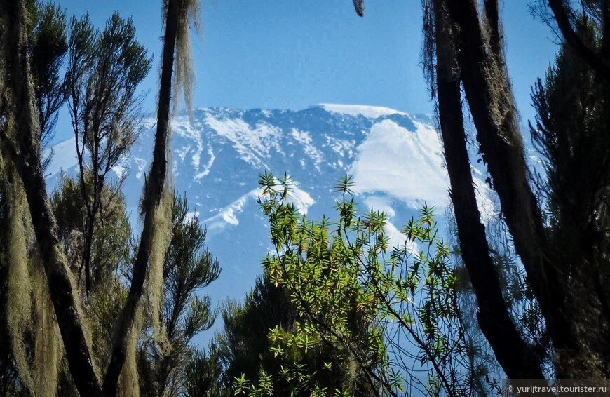 Последние Снега Килиманджаро ч. 4. Подъем по тропе Умбве