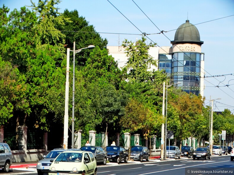 В Белграде