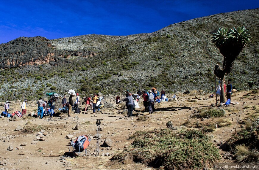 Последние Снега Килиманджаро. ч.5 — К штурму вершины Кили готовы!