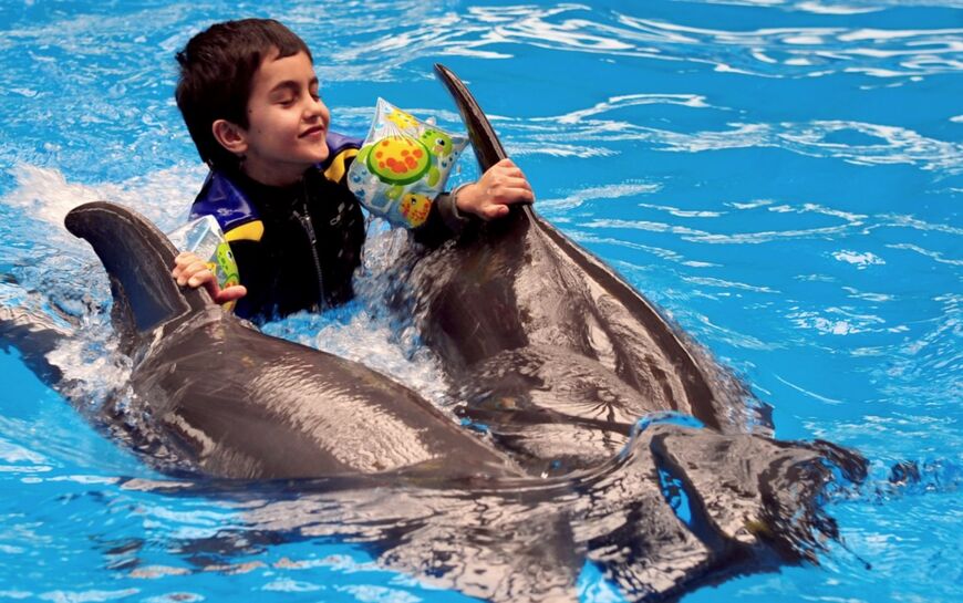 Дельфинарий «Немо» в Джубге