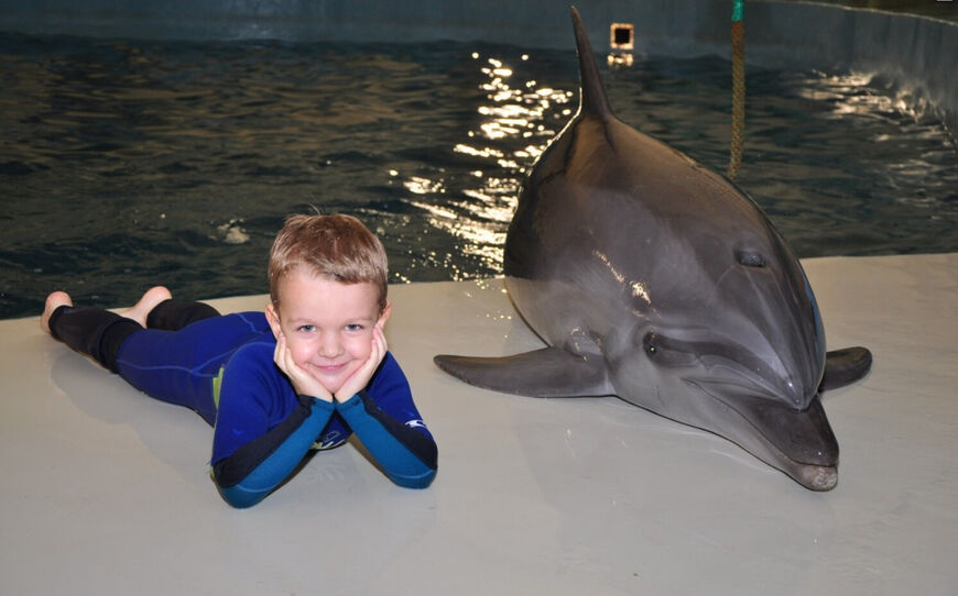Дельфинарий «Немо» в Джубге