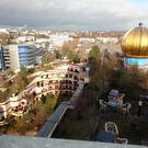 Лесная спираль
