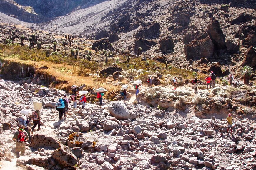 Гора Килиманджаро