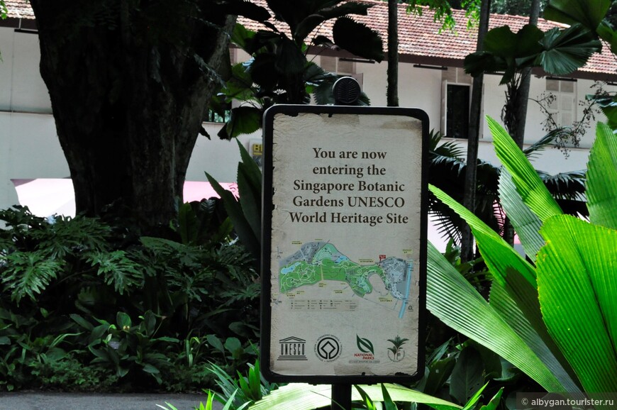 В Ботанический сад Сингапура надо идти...