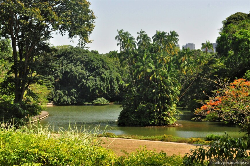 В Ботанический сад Сингапура надо идти...