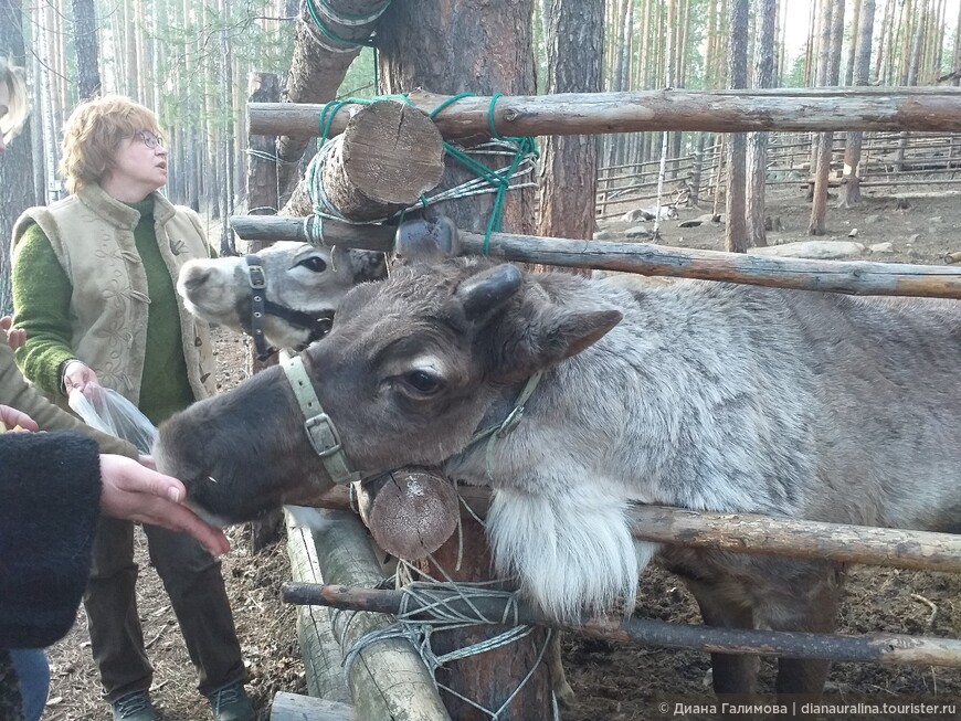 И снова об Урале, Невьянске и Демидовых