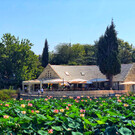Иерусалимский Ботанический сад
