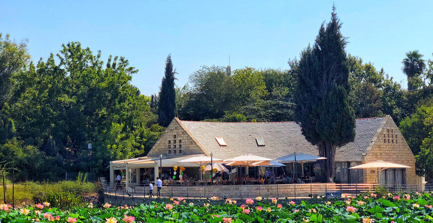 Ботанический сад в Иерусалиме