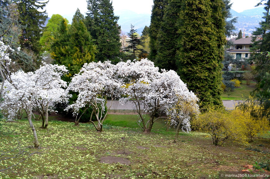 Ботанический сад виллы Таранто (Giardini Botanici di Villa Taranto)