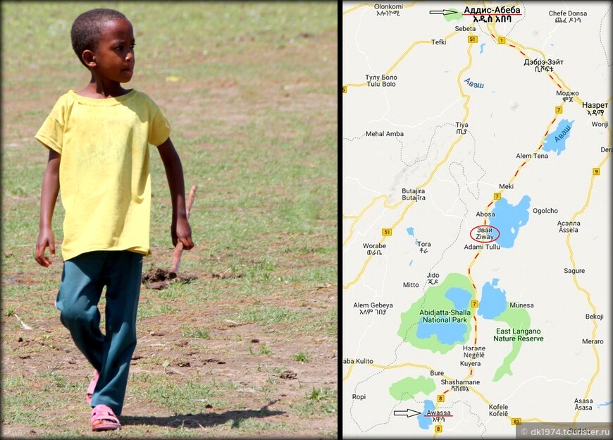 Дорожные зарисовки — Эфиопия. День 1 — озеро Звай