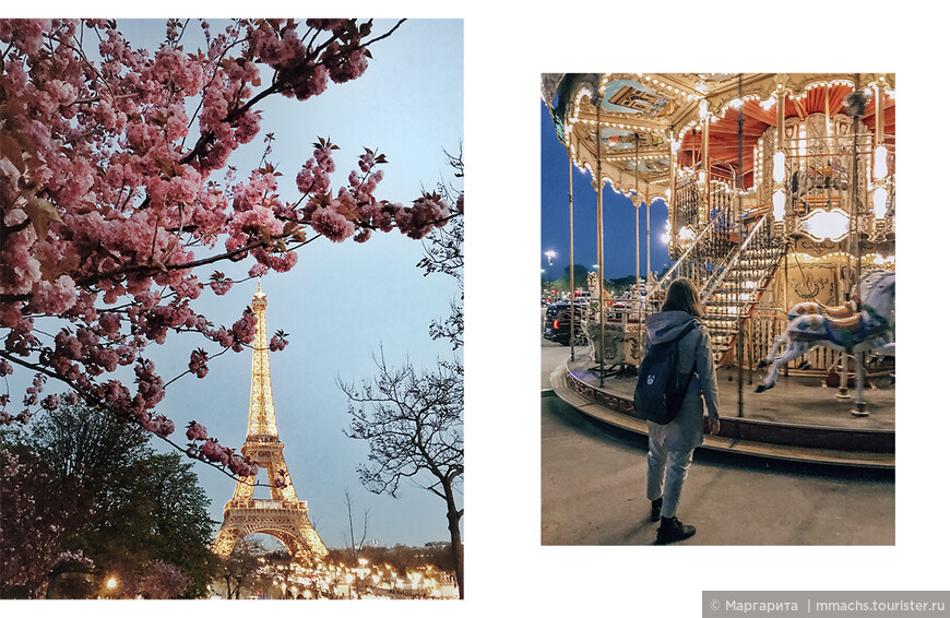 Париж. В поисках цветущих сакур