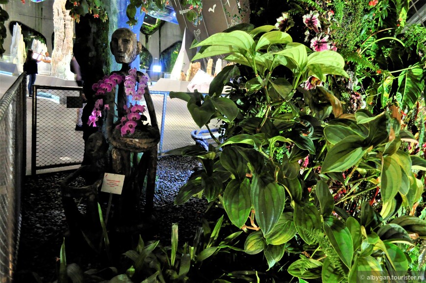Сады у Залива в Сингапуре — ничего подобного раньше не видел!