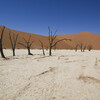 Deadvlei