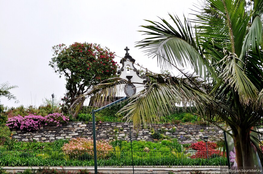 Тропический сад Дворца Монте (Фуншал, Мадейра). Не пропустите!
