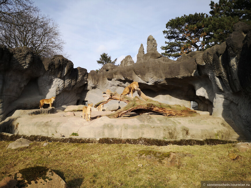 Зоопарк Хагенбека