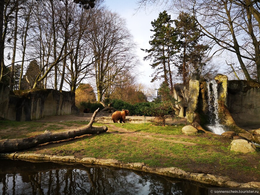 Зоопарк Хагенбека