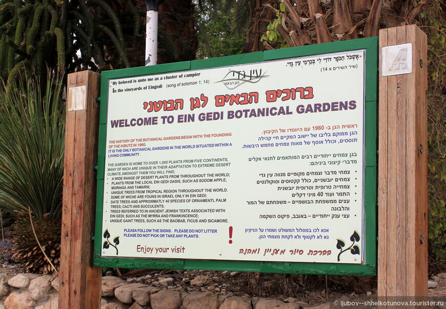 Уникальный Ботанический сад