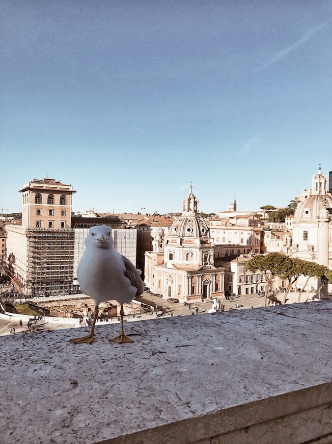 Встреча с мечтой. Рим и Венеция. Февраль 2019