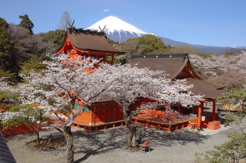 10 интересных фактов, позволяющих лучше узнать культуру Японии