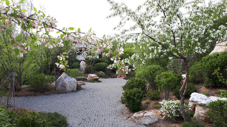 Ива-парк – Японский сад в Тюмени