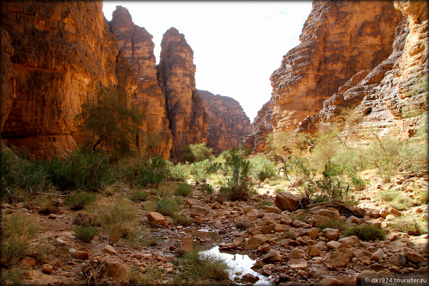 Алжирская Сахара, день пятый — Джанет и каньон в пустыне