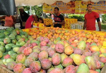 В Доминикане пройдет Фестиваль манго