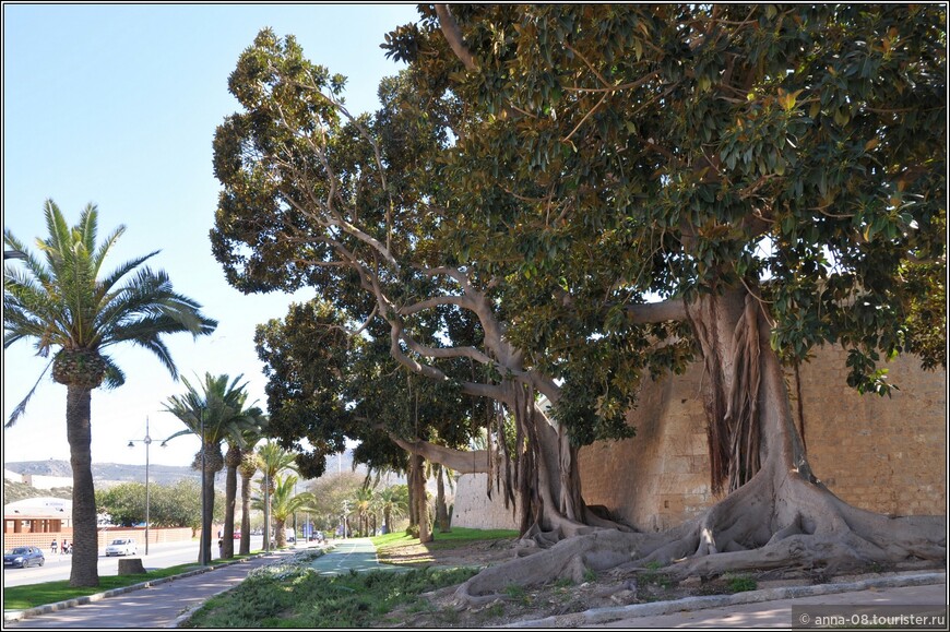 Картахена — это не только крепости и древние руины