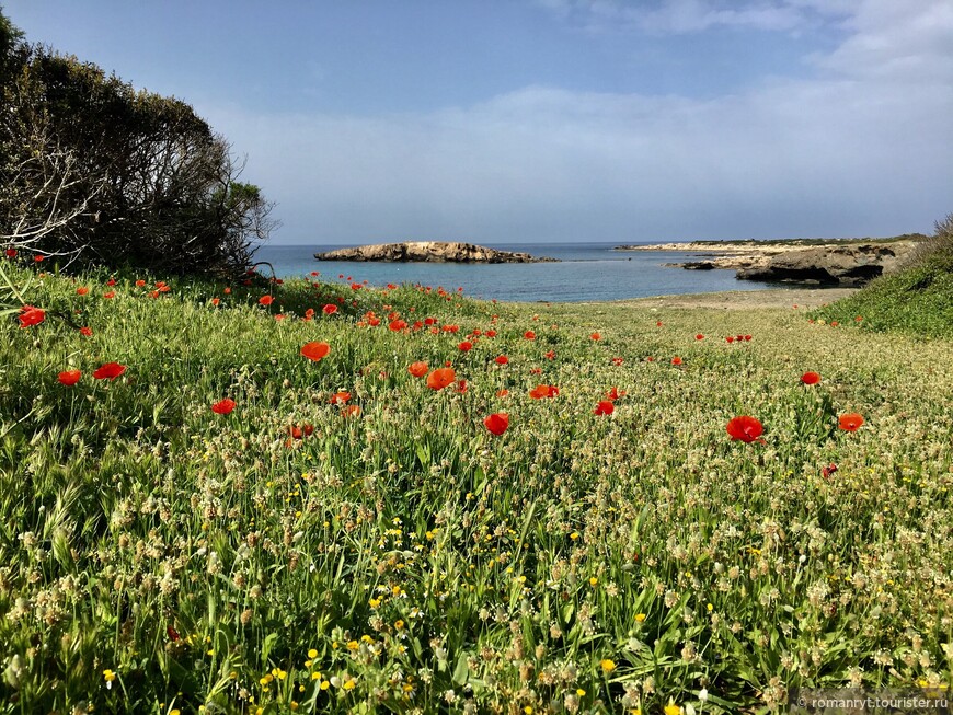 Тропой Афродиты по весеннему Кипру