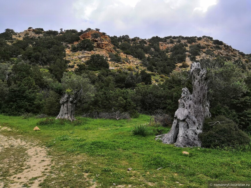 Тропой Афродиты по весеннему Кипру